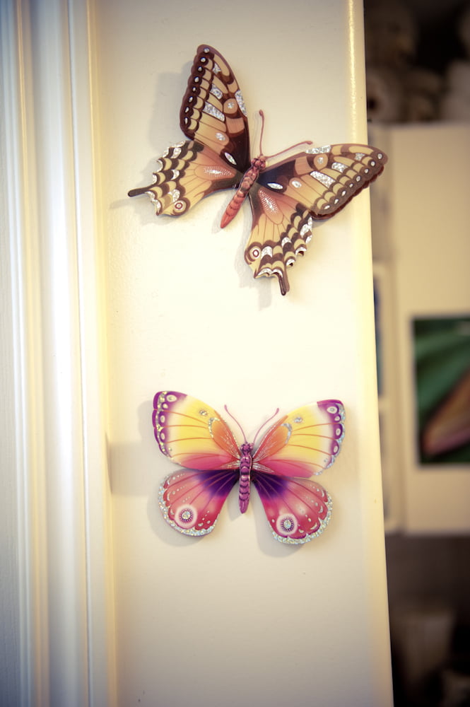 Butterfly decorations by the door
