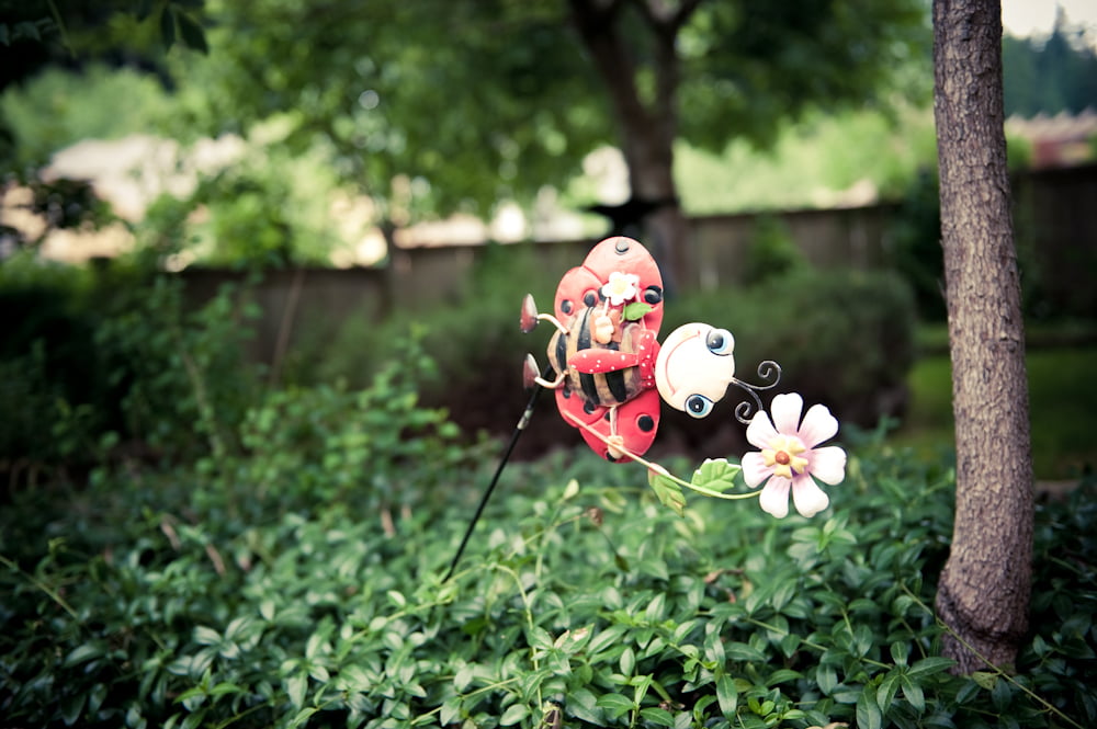 A ladybug in the garden