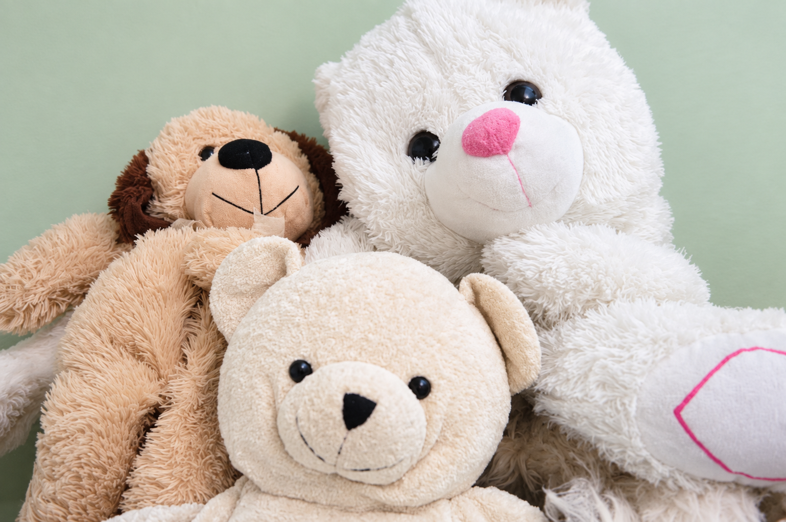 A row of soft, well-loved stuffed animals